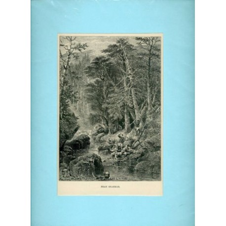 Stampa antica