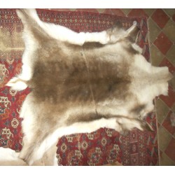 Pelle naturale di renna